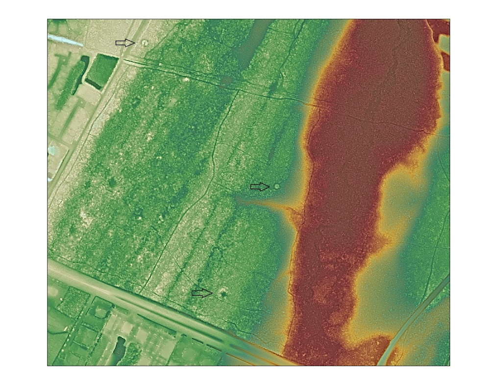 The team's approach successfully identified  ring and mound sites (indicated by arrows) within a stretch of forest that had not been previously surveyed by archaeologists.