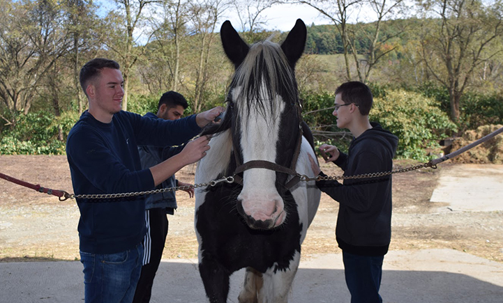 PwC Scholars begin work at Kali’s Klubhouse in Apalachin, N.Y.