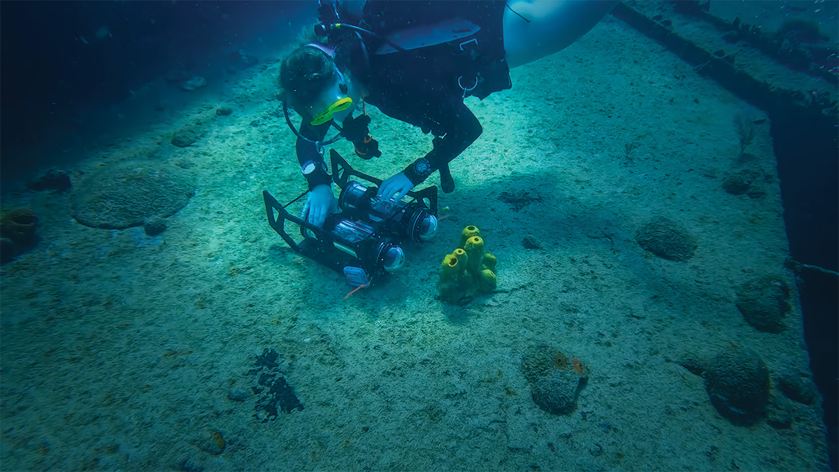 Assistant Professor Monika Roznere conducts experiments with underwater robots during trips to a research center in Barbados.
