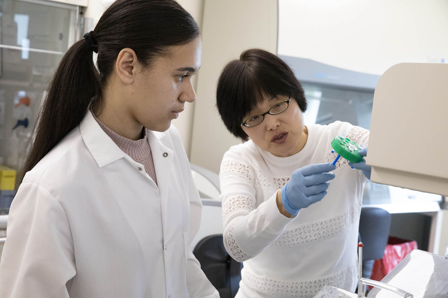 Sha Jin, an associate professor in the Thomas J. Watson School of Engineering and Applied Science’s Department of Biomedical Engineering, works in her lab with student Deana Moffat. Jin was awarded nearly $1.2 million in grants to further her research into diabetes treatments.