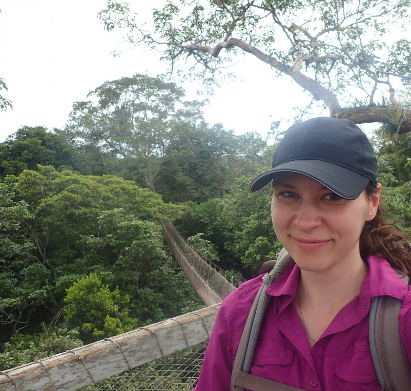 Binghamton University Assistant Research Professor of Biological Sciences Lindsey Swierk at the Amazon Conservatory for Tropical Studies in Peru. The site features one of the largest rainforest canopy walkways in the world.