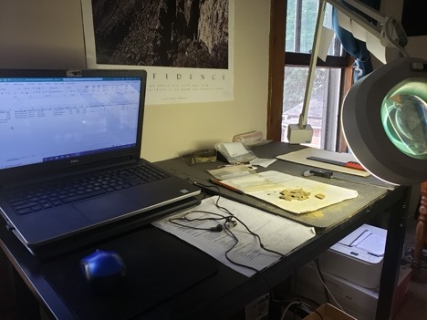 During the pandemic, PhD student Michele Troutman analyzed stone tools in the collection of the New York State Museum, Albany, in her apartment.