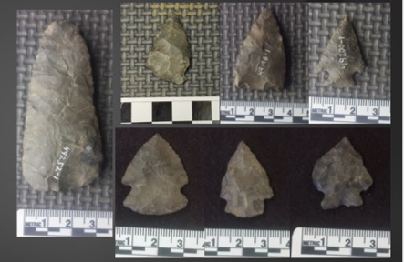 Examples of projectile points and an ovate bifacial knife (on left) found at a site in eastern New York state, part of a collection curated by the New York State Museum, Albany.