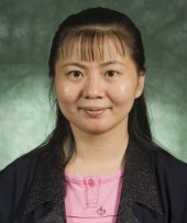 Associate Professor Ping Yang