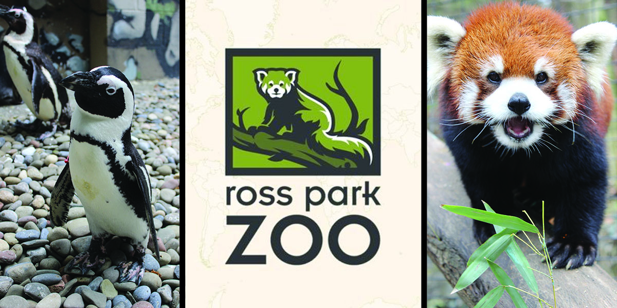 Students in the Introduction to Special Education 411 class have been working with the Ross Park Zoo to make it more accessible and inclusive.