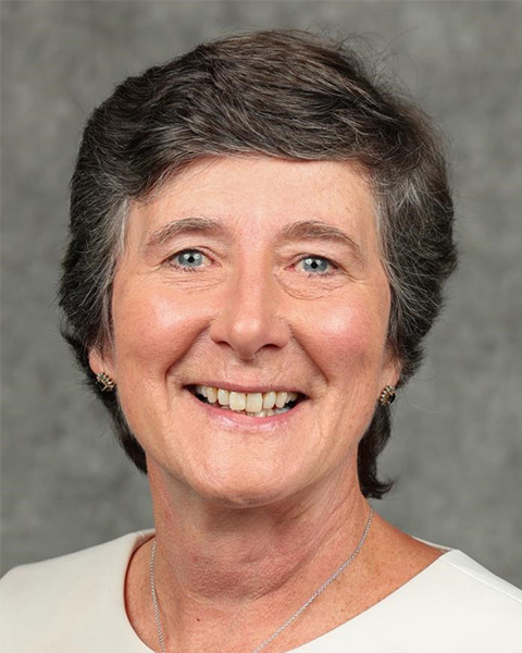 Lucinda L. Maine, PhD, FAPhA, FFIP