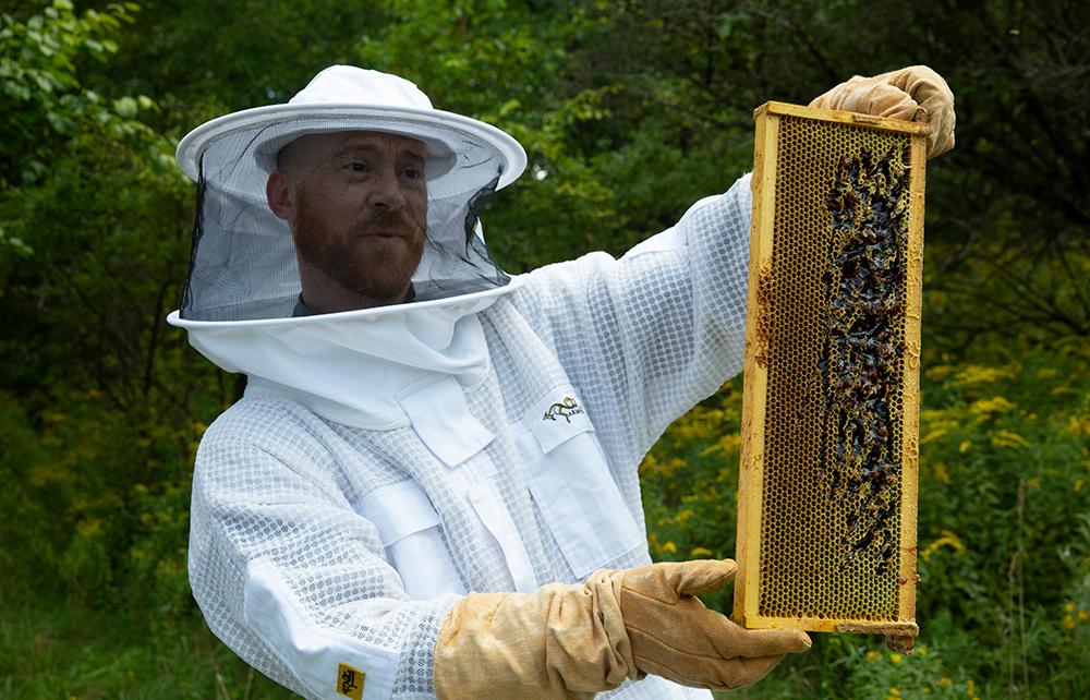 The buzz: Campus initiatives put the bee in Binghamton