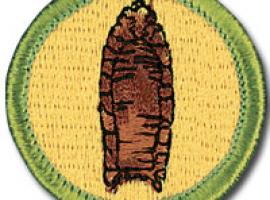 Corn badge