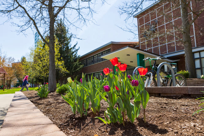 Two people observing a sign at a Three Sisters Garden with lush plants.