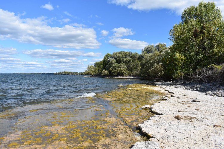 Horse Island, Sackets Harbor Battlefield The Public Archaeology