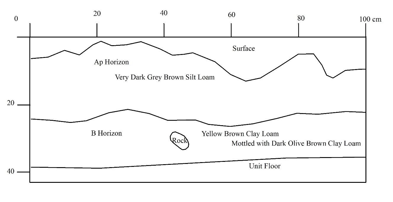 East Profile Drawing