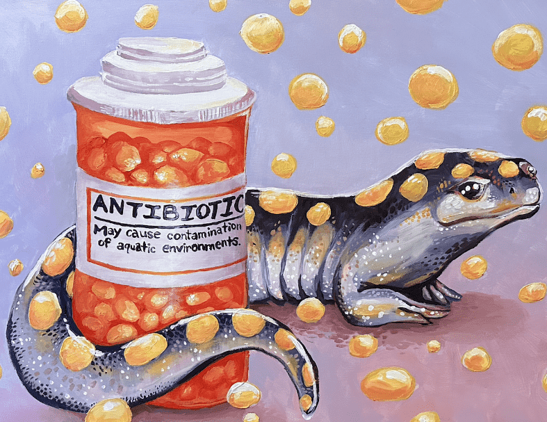 Antibiotics-Kyra Ricci