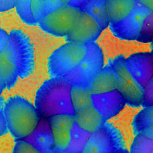 Art of Science opening reception