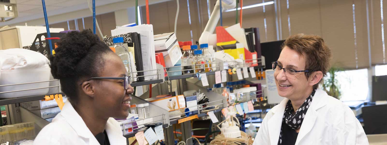 Laboratory Animal Resources Division of Research Binghamton University