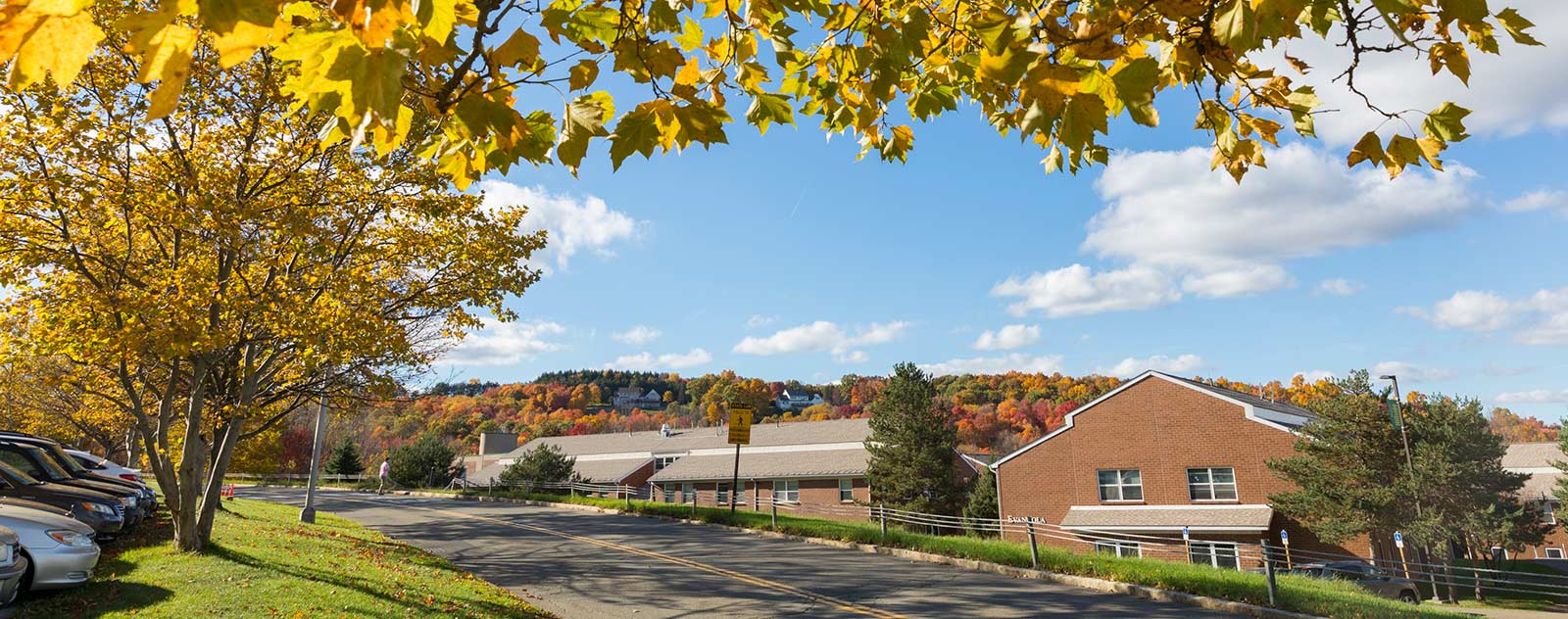 Apartments Staff Contact Information Residential Life Binghamton