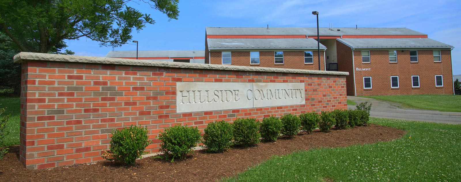 Binghamton university housing priority image