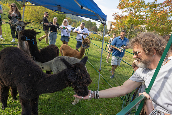 Families petting alpacas at CIW's Family Weekend.