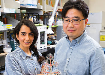 Two Binghamton University faculty members in a research laboratory holding a molecular model.