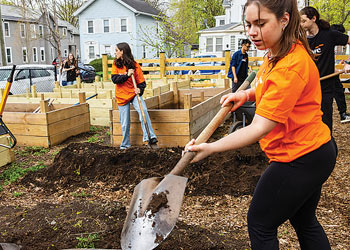 Students volunteering in a community garden by digging and preparing planting beds.