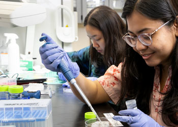 Two students conducting laboratory research using a pipette and test tubes at a lab bench.