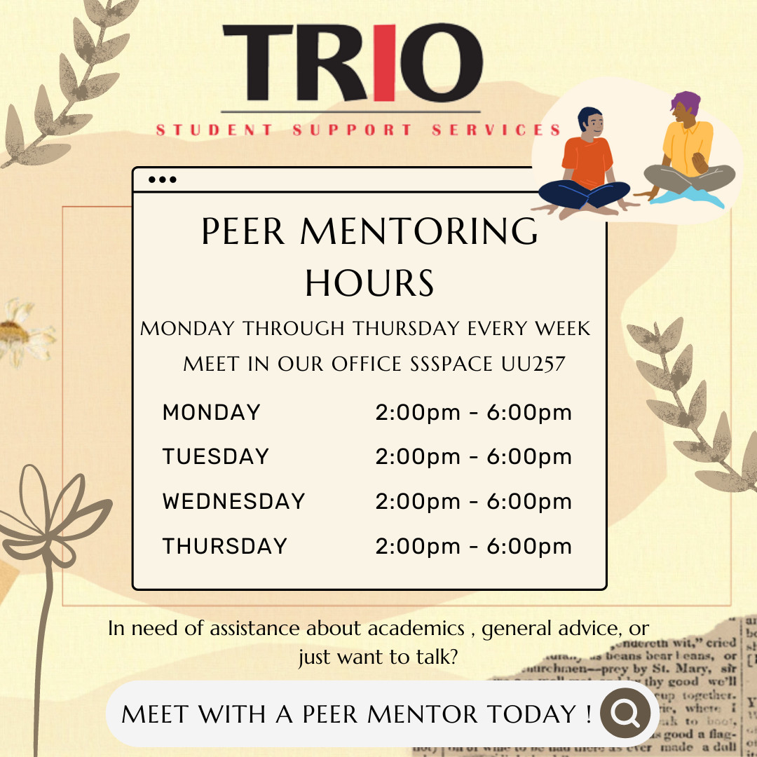 Peer Mentoring Hours